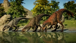 YutyDrinkingJWE2.jpg (595 KB)