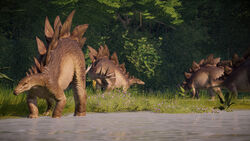 jwe stegosaurus