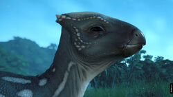 JgNAqOB.jpg (4.91 MB)