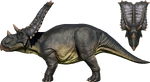 Chasmosaurus