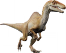 Spinoraptor