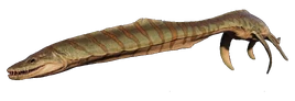 Styxosaurus Profile