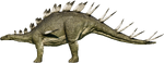 Kentrosaurus