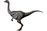 Archaeornithomimus