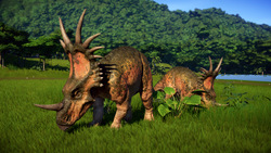 DytCLBg.png (2.68 MB)