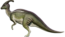 Parasaurolophus