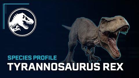 Species Profile - Tyrannosaurus Rex