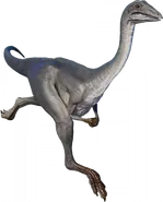 Archaeornithomimus