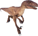 Velociraptor