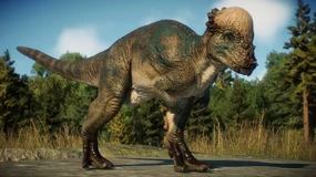 Pachycephalosaurus JWE2