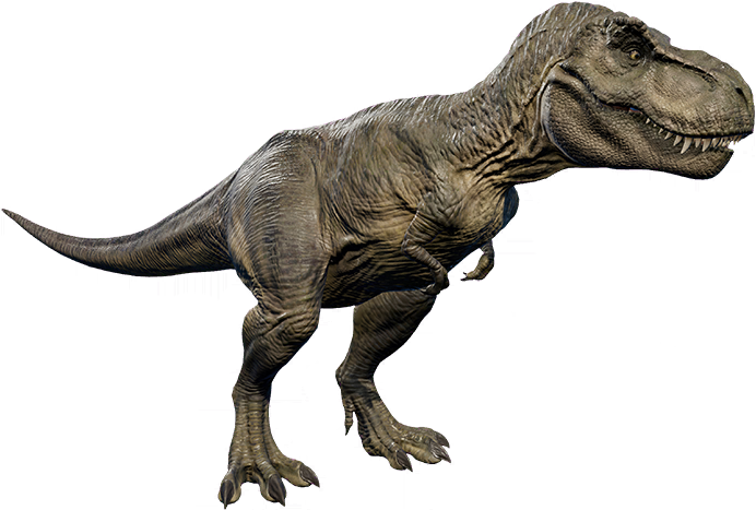 Tyrannosaurus, Dinosaur Wiki