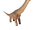 Alamosaurus