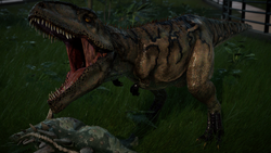 Giganotosaurus Jurassic World Evolution Wiki Fandom