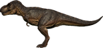 Tyrannosaurus (A)