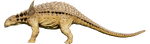 Sauropelta