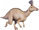 Tsintaosaurus