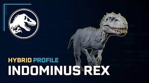 Hybrid Profile Indominus Rex