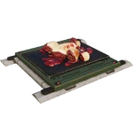 GroundCarnivorefeeder