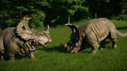 SinoSpliffi.jpg (657 KB)