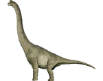 Brachiosaurus (A)