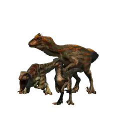 Database (Evolution 3)