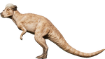 Pachycephalosaurus