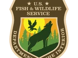 Department of Fish and Wildlife