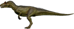 Allosaurus