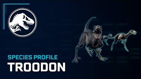 Species Profile - Troodon