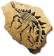 Stegosaurusfossilicon