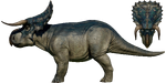 Nasutoceratops