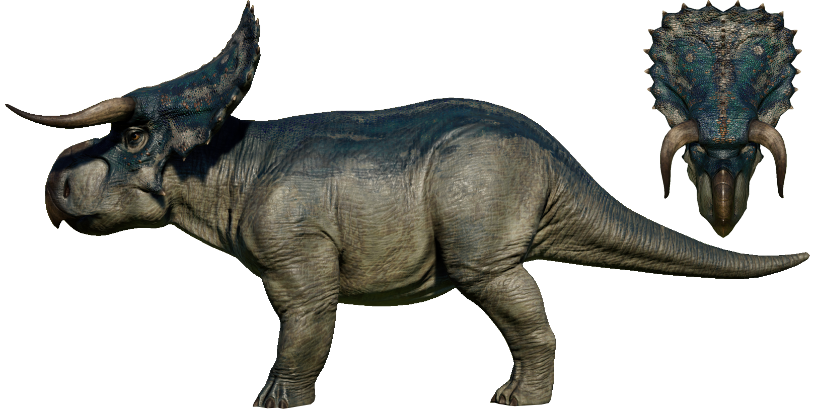 nasutuceratops