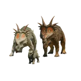 Database (Evolution 3)