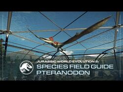 Species Field Guide - Pteranodon - Jurassic World Evolution 2
