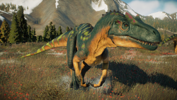 Allosaurus Srut