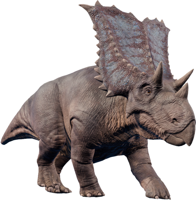 triceratops jwe