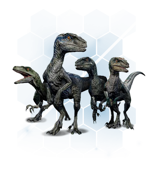 jurassic world evolution velociraptor