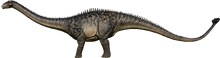 Ankylodocus