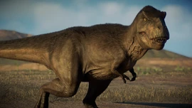 Tyrannosaurus in the Late Cretaceous, 65 million years ago