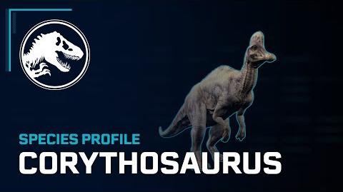 Species Profile - Corythosaurus