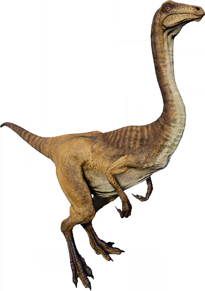 Gallimimus Jurassic World Evolution Wiki Fandom