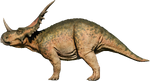 Styracosaurus