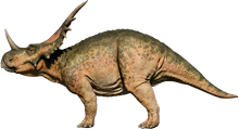 Styracosaurus