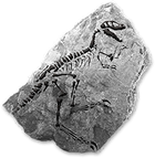 Smalltheropodfossilicon.png