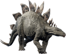 Stegosaurus