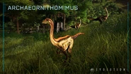 Archaeornithomimus