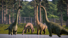 A group of Brachiosaurus.