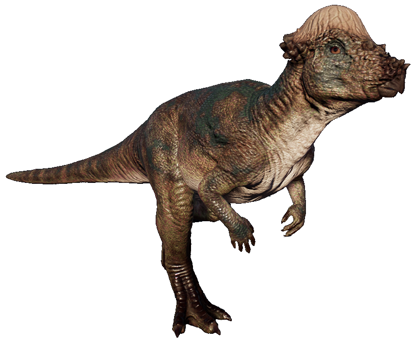 Pachycephalosaurus Jurassic World Evolution Wiki Fandom 6328