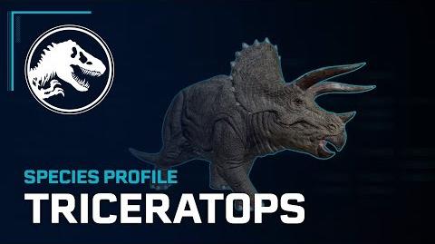 Species Profile - Triceratops
