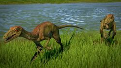 Troodon 4 1080